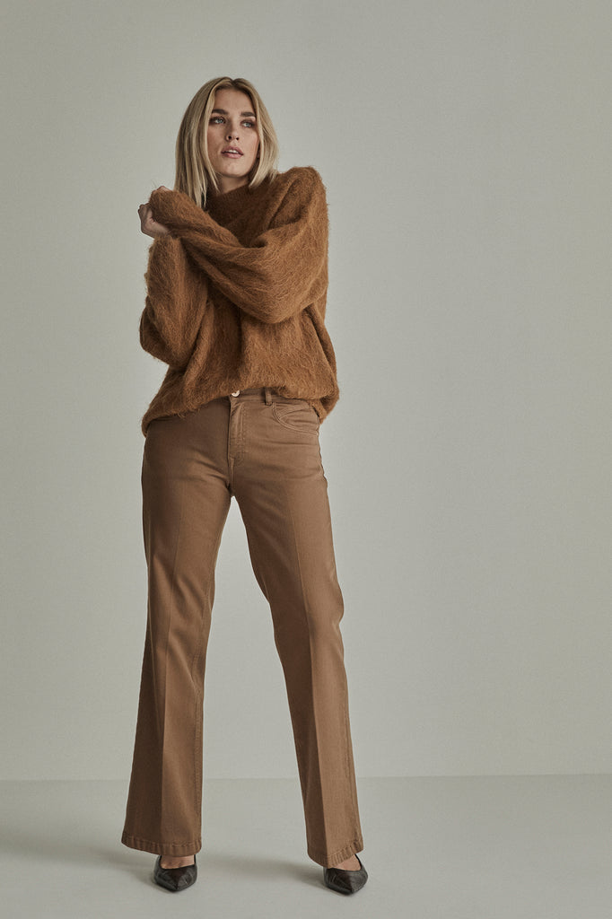 Camel